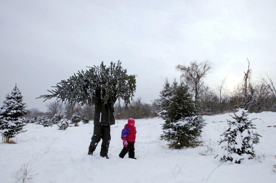 20131212nw1673 Tony Baker and his daughter Mesa take away a Christmas tree from Rum River Tree Farm in Anoka, Minnesota, in 2013. (CNS/Reuters/Eric Miller) 20131212nw1673 Tony Baker and his daughter Mesa take away a Christmas tree from Rum River Tree Farm in Anoka, Minnesota, in 2013. (CNS/Reuters/Eric Miller)