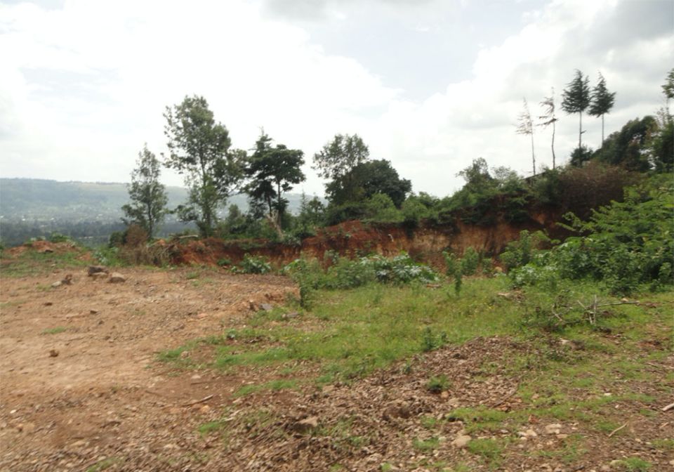 A section of degraded land is seen just meters away from the main gate of the Subukia National Shrine in Kenya. The 200-acre monument has been threatened by environmental degradation due to illegal logging in the area. (Shadrack Omuka)