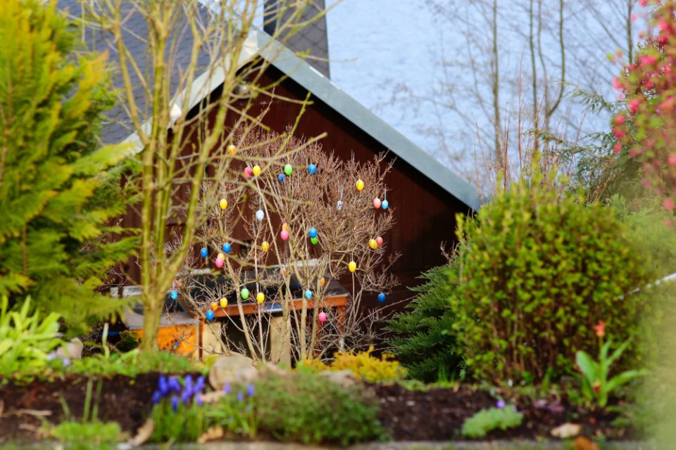 Easter eggs hanging in a tree with no leaves. (Unsplash/Hanns Adrian Böhme)