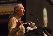 Jane Goodall speaks at Mizzou Arena Sept. 17, 2014, in Columbia, Missouri. (Wikimedia Commons/Mark Schierbecker, CC by SA 4.0)