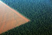 Foto aérea de la selva tropical rodeada de tierras deforestadas preparadas para la siembra de soja en el estado de Mato Grosso, al oeste de Brasil, en octubre de 2015. (Reuters/TPX Images of the Day/Paulo Whitaker)